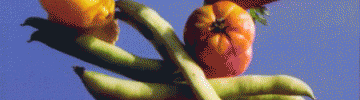ALIMENTACIÓN