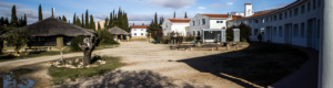 SEMINARIOS DE VERANO